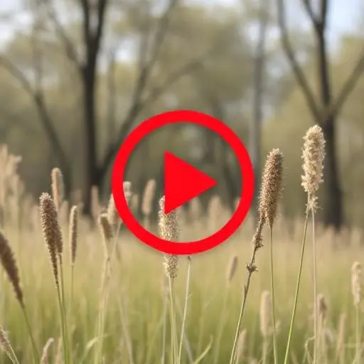 4 Cara atau tutorial Mengunduh Video iStock Tanpa Watermark