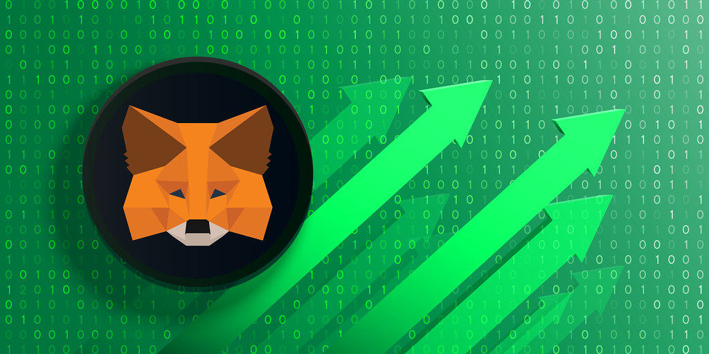 Cara Membuat Dan Backup Dompet MetaMask