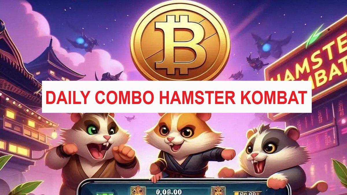 Daily Combo Hamster Kombat Hari Ini 29 Juli 2024