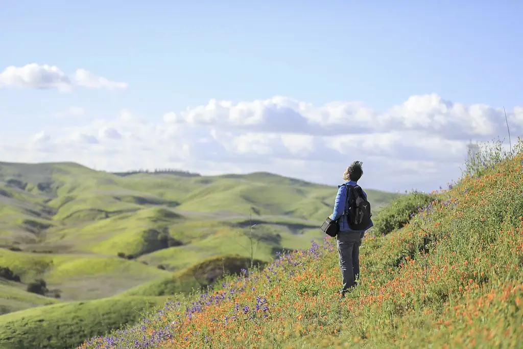 Kisah Sukses Pengguna Awal Jaringan Base: Dapatkan Inspirasi